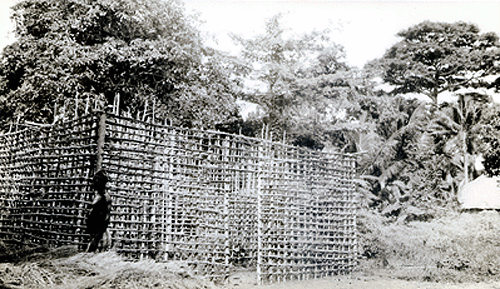 "Construction of huts, Trisana."