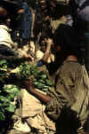 Brassica carinata leaves on market.jpg (95091 bytes)