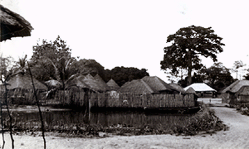 "The Paramount Chief's compound at Yoni contains both round and rectangular houses..."