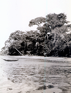"Beach near Trisana with dugout canoe."